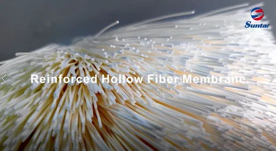 サンター膜バイオ